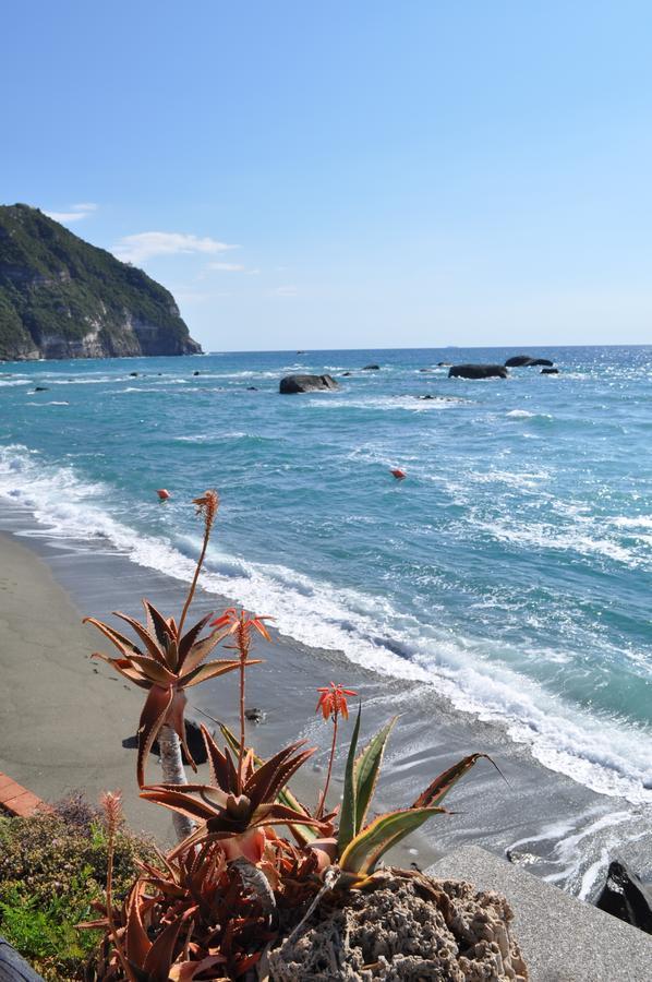 La Citarea Bed & Breakfast Forio di Ischia Exterior foto